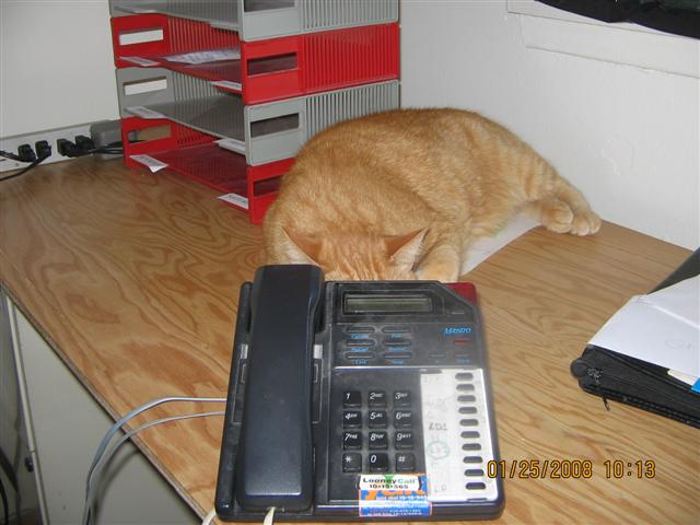 Christopher Greaves Our trained staff are waiting for your call.jpg